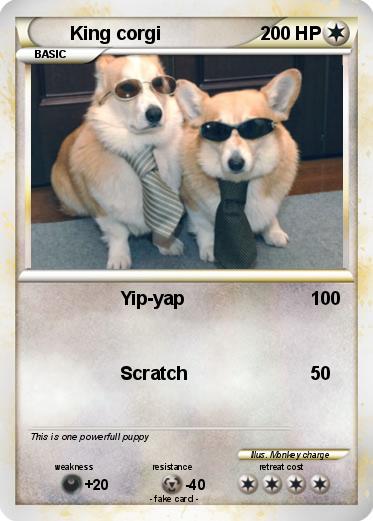 Pokemon King corgi