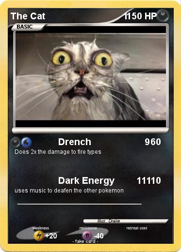 Pokemon The Cat                                1