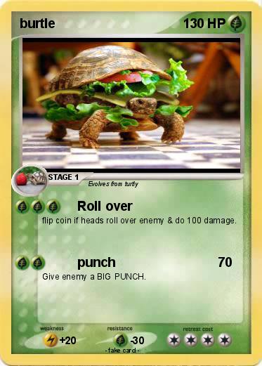 Pokemon burtle
