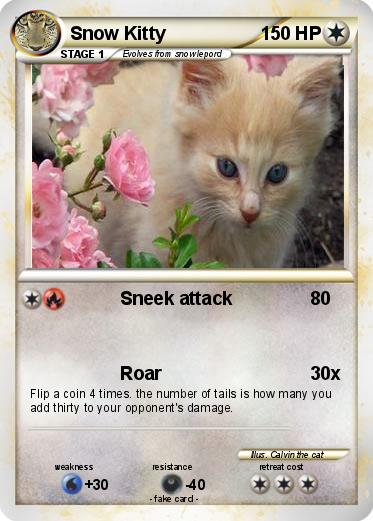Pokemon Snow Kitty
