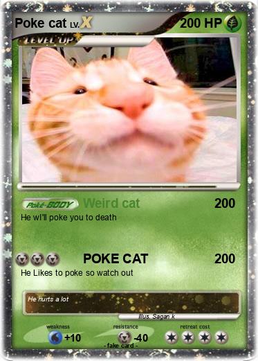 Pokemon Poke cat