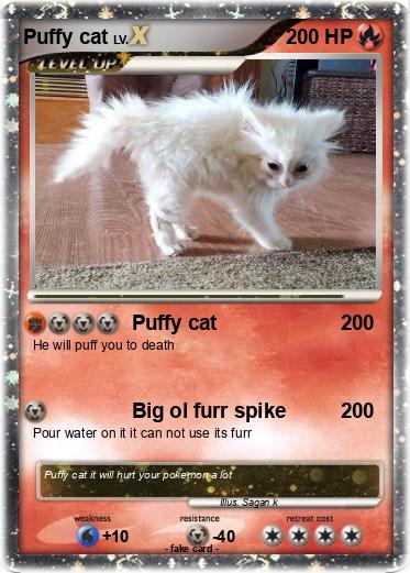 Pokemon Puffy cat