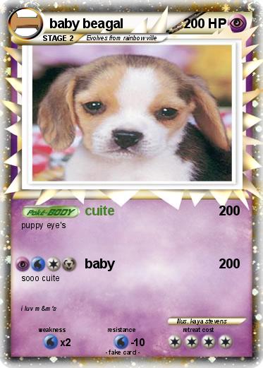 Pokemon baby beagal