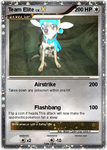 Pokemon Team Elite