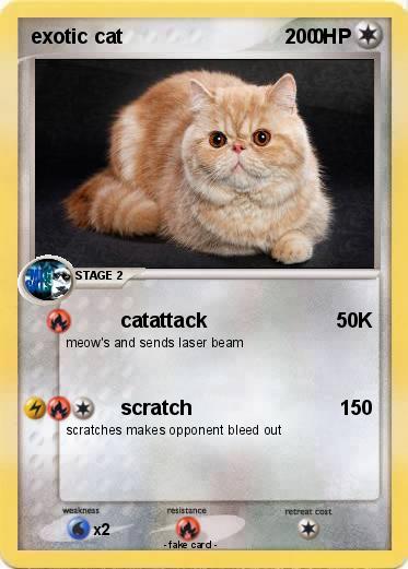 Pokemon exotic cat                                  0