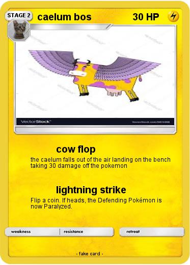 Pokemon caelum bos
