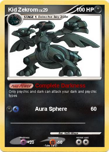 Pokemon Kid Zekrom
