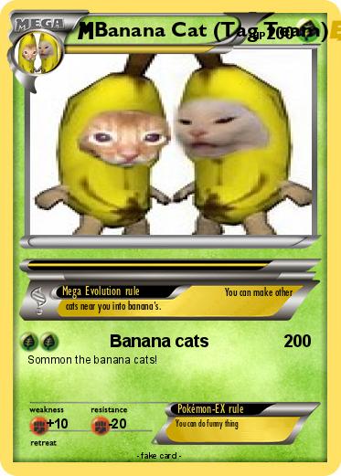 Pokemon Banana Cat (Tag Team)