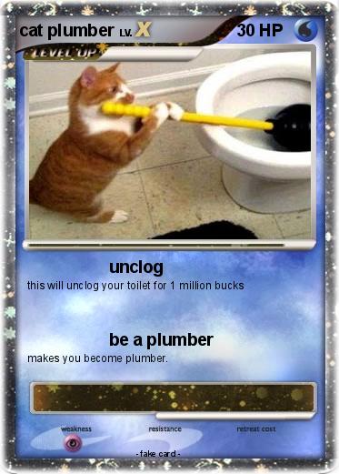 Pokemon cat plumber
