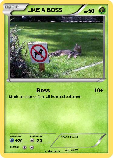 Pokemon LIKE A BOSS