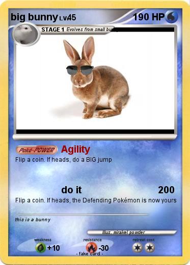 Pokemon big bunny