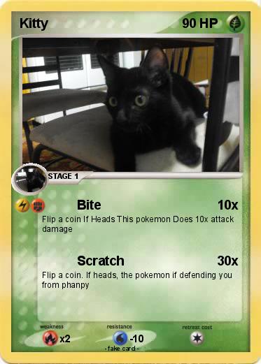Pokemon Kitty