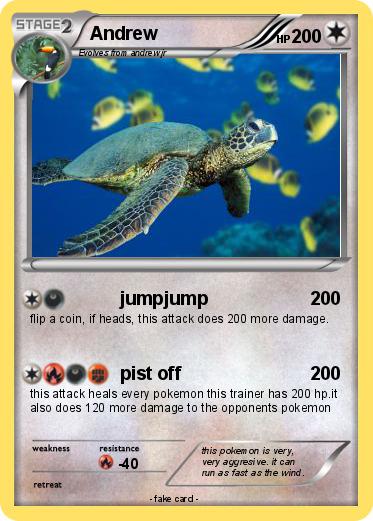 Pokemon Andrew