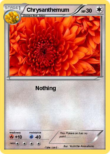 Pokemon Chrysanthemum