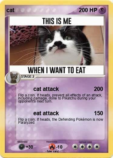 Pokemon cat