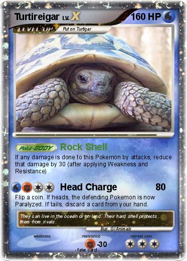 Pokemon Turtireigar