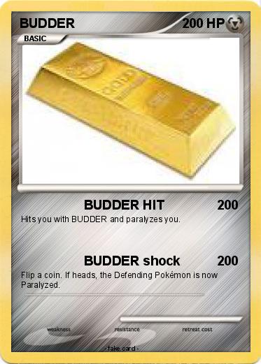 Pokemon BUDDER