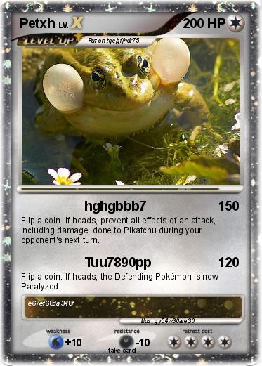 Pokemon Petxh