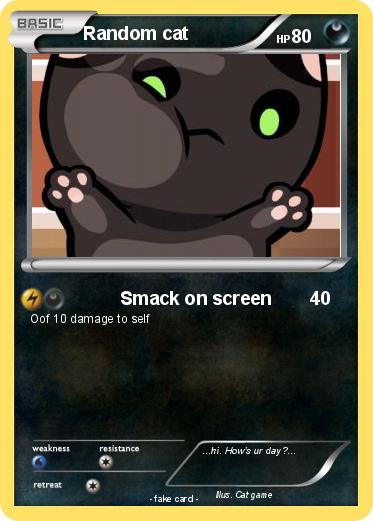 Pokemon Random cat