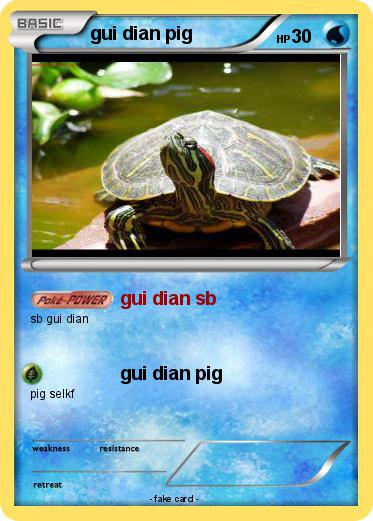 Pokemon gui dian pig