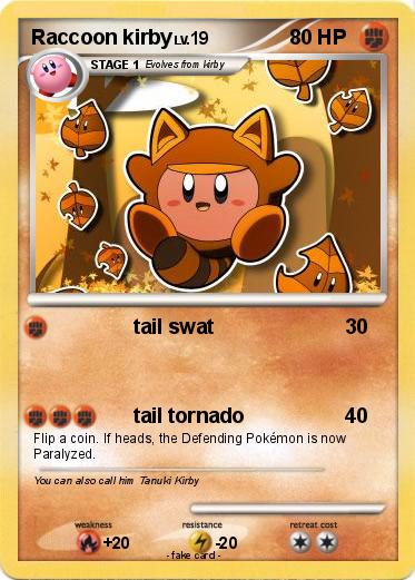 Pokemon Raccoon kirby