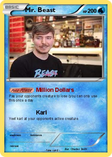 Pokemon Mr. Beast