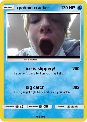 Pokemon graham cracker