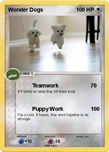 Pokemon Wonder Dogs