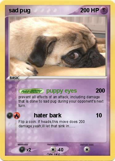 Pokemon sad pug