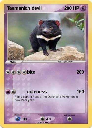 Pokemon Tasmanian devil