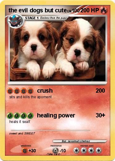 Pokemon the evil dogs but cute