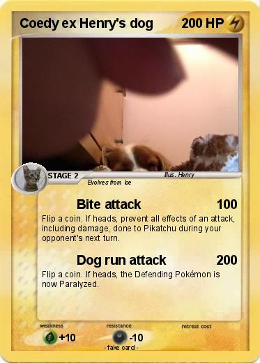 Pokemon Coedy ex Henry's dog