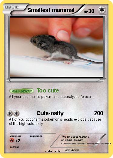 Pokemon Smallest mammal Pokemon Smallest mammal