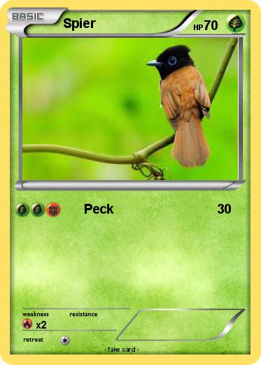 Pokemon Spier