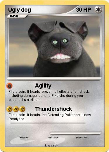 Pokemon Ugly dog