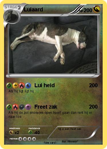 Pokemon Luiaard