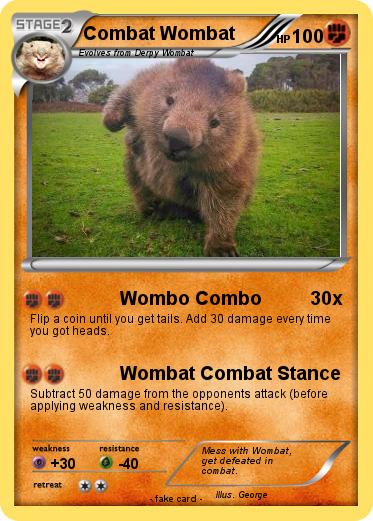 Pokemon Combat Wombat
