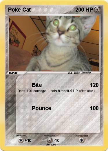 Pokemon Poke Cat