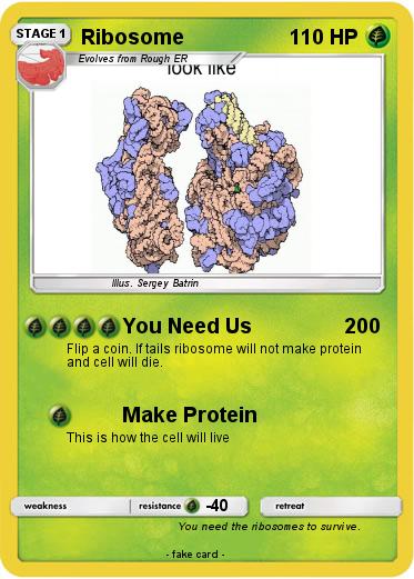 Pokemon Ribosome