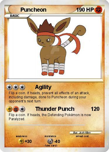 Pokemon Puncheon
