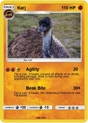 Pokemon Karj