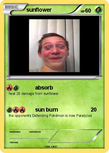 Pokemon sunflower