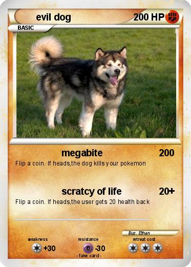 Pokemon evil dog