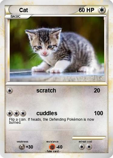 Pokemon Cat