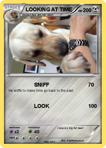 Pokemon LOOKING AT TIME