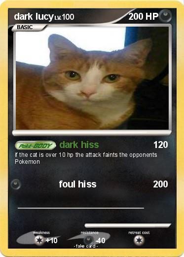 Pokemon dark lucy