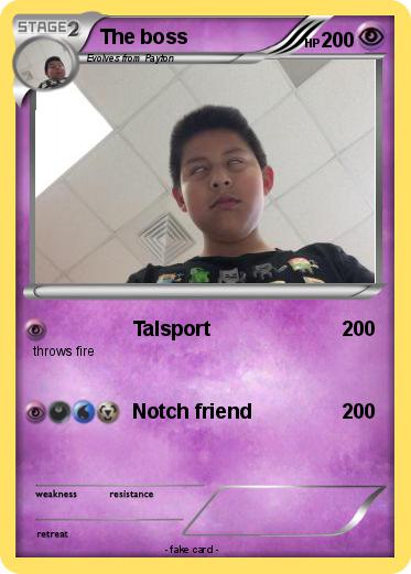 Pokemon The boss