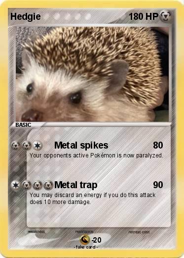 Pokemon Hedgie