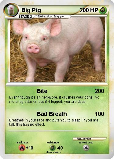 Pokemon Big Pig