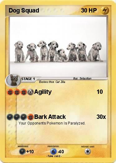 Pokemon Dog Squad